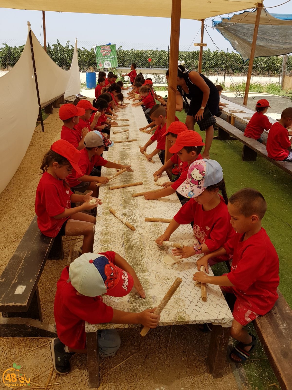 f3alayat saayf (17).jpeg